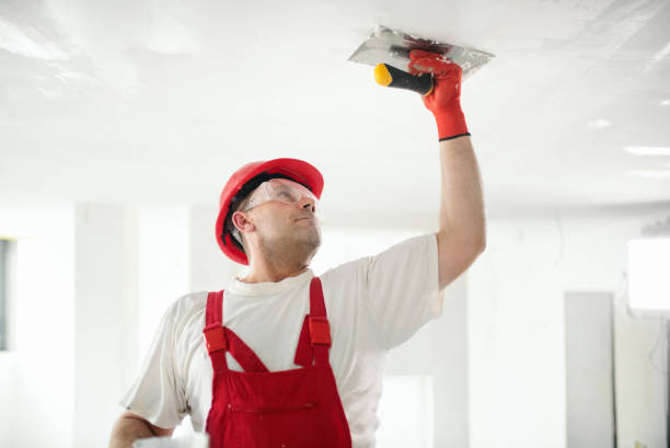 Wallpaper Removal and Painting in Bellbrook, OH